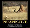 Perspective1.jpg