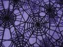 purple_spider-webs.jpg