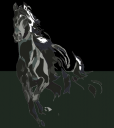 horserunning.png
