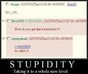 stupidity.jpg