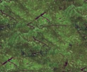 Lost ron.png