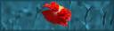 banner_poppy_on_blue_framed.jpg