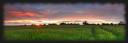 plain_grass_tracks_sunset.jpg