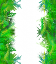 treelines.png