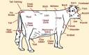 cow chart.jpg