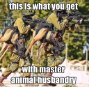 maxAH.png
