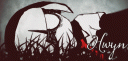 capture.gif