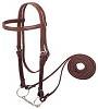 bit and bridle.jpeg