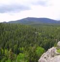user329572_pic5027_1217176719.jpg