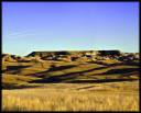 grasses1a.jpg