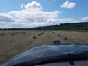 hay2.jpg