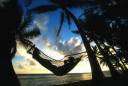 codexhammock2.jpg
