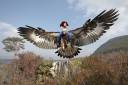 ginga eagles.jpg