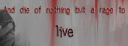 Top.png