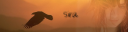 Sira.png