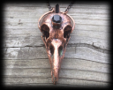 skull1.png