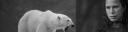 Chetha.png