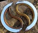 two_piece_chakram_apart.jpg