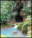 cave1.gif