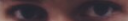 placeholder people.png