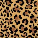 animalprint.jpg