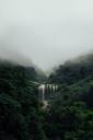Jungle waterfall vista.jpg