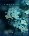 Flowers.png