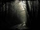 Scary_road_Wallpaper_2nk84.jpg