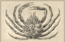 monocrab01.png