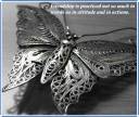 butterfly.jpg