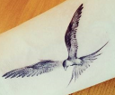 TavanTattoo.png