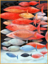 nelliefish05.png