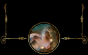 fancybottom.png