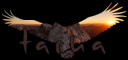 tarkasigname.png