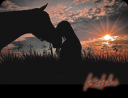 sunsethorse.png