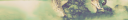 footer.png