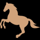 icon.png