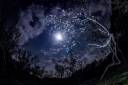moon-jupiter-Masaaki-Shibuya-3-2-20151.jpg