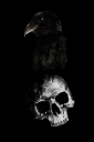 raven-and-skull-small.png
