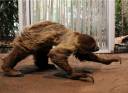 00running_sloth_zps82a3716a.jpg