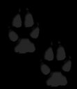 paws.png
