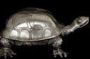 Turtle.png