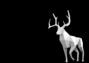 Hauk Template 1v2.png