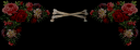 topbannerflowers&bones.png