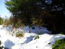 front yard.jpg