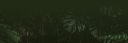 monsterafoot.png
