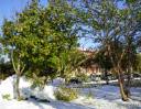 snowy destruction1.jpg
