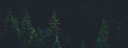 treesfoot.png