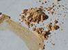 Gold powder1.jpg