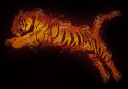 fire-tiger.png